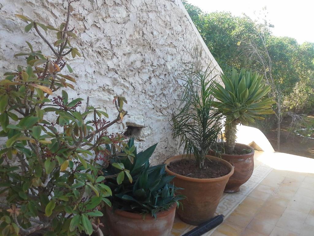Hotel La Maison Essaouira Exterior foto